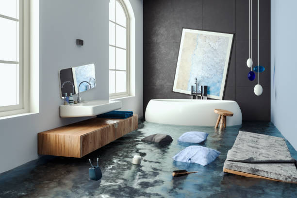 Best Water damage repair service  in Silt, CO