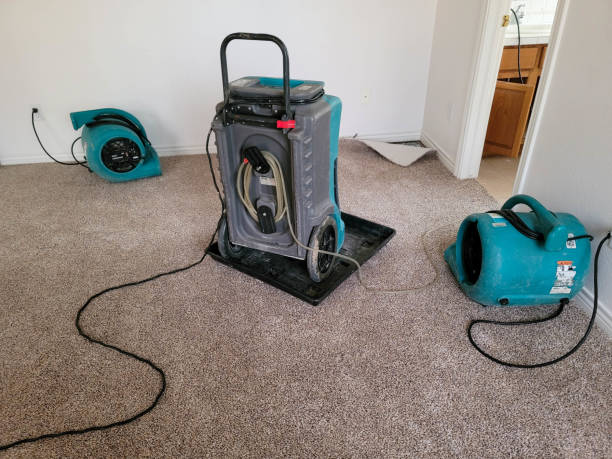 Professional Water damage restoration in Silt, CO