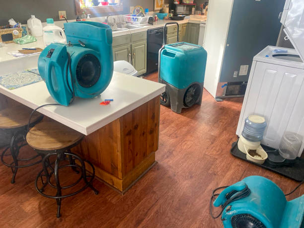 Best Water damage mitigation services  in Silt, CO