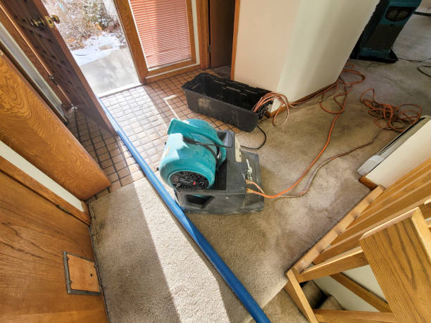 Best Water damage restoration mold remediation  in Silt, CO