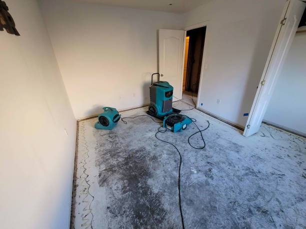 Water damage restoration mold remediation in Silt, CO