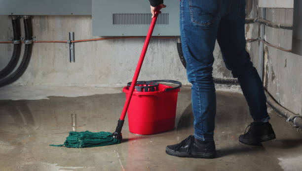 Best Water damage cleanup near me  in Silt, CO
