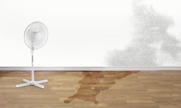 Best Basement water damage restoration  in Silt, CO