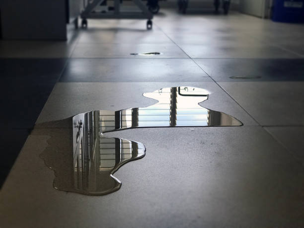Best 24/7 water damage repair  in Silt, CO