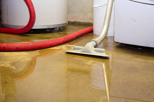 Best Fire Damage Restoration  in Silt, CO