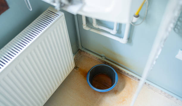 Best Flood damage cleanup  in Silt, CO