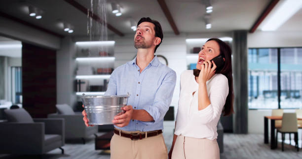 Best Water damage restoration near me  in Silt, CO