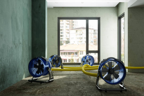 Best Carpet water damage restoration  in Silt, CO